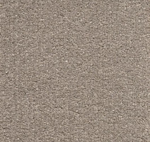 Ковролин AW Promenade 32 фото 1 | FLOORDEALER